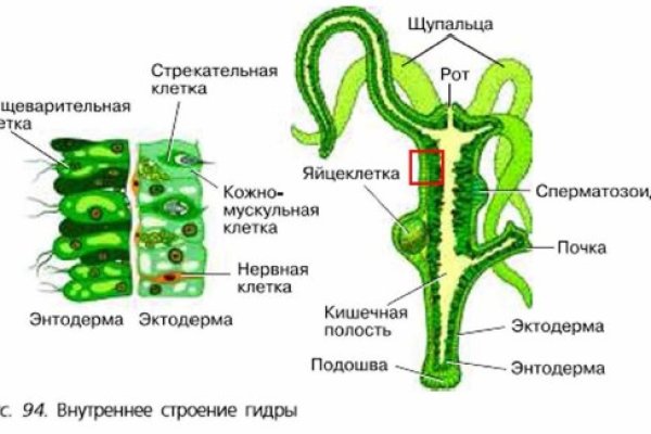 Kraken магазин интернет